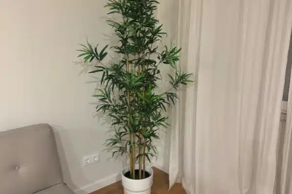 1EA